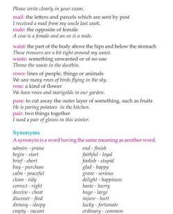 3rd Grade Grammar Homophones Synonyms Antonyms Prefixes Suffixes (2).jpg